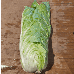 Salade - Pain de sucre