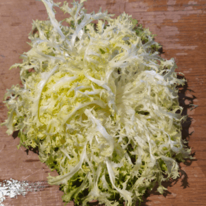 Salade Scarole frisée